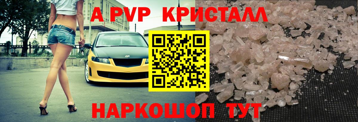 Alfa_PVP СК Тамбов