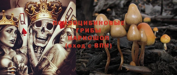 PSILOCYBIN Надым
