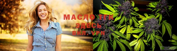 скорость Новозыбков