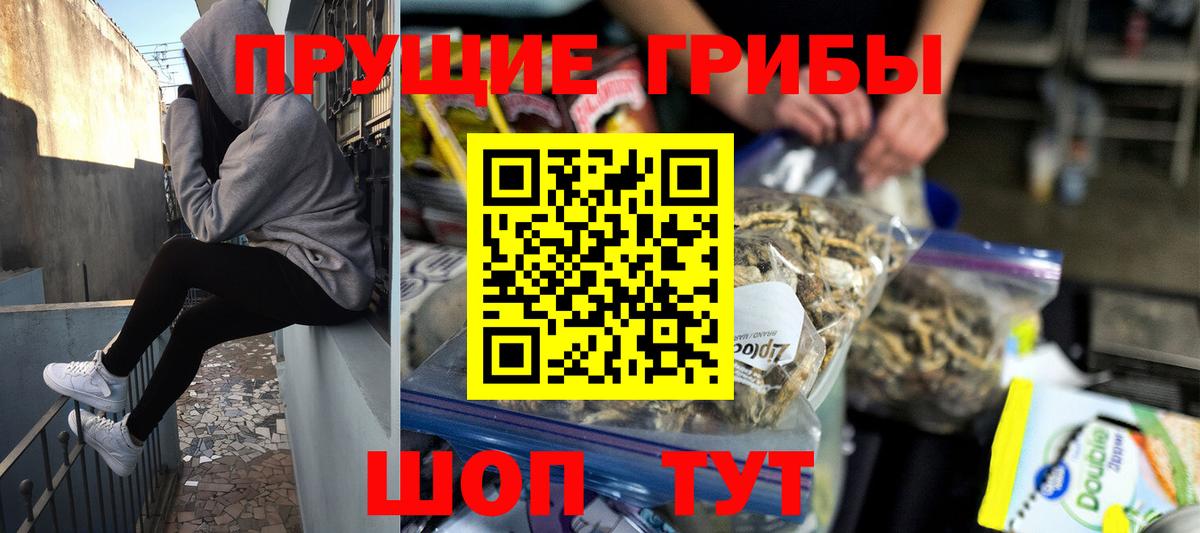 Тамбов  Псилоцибиновые грибы мухоморы  Вход с VPN  где найти наркотики  Галлюциногенные грибы GOLDEN TEACHER 
